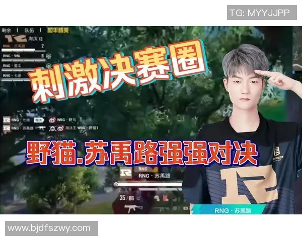 热议和平精英RNG战队配合变革引发的战术创新与团队协作探讨