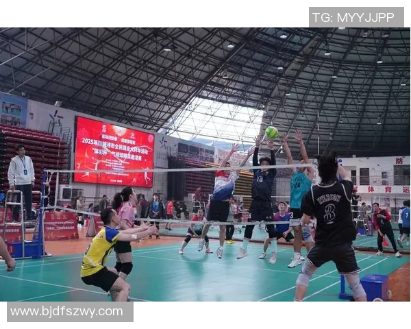 深圳排球队精英赛精彩配合分析展现团队默契与实力