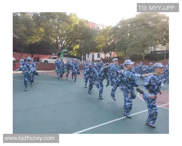 深圳飞盘队心理素质排名第一最新飞盘心理素质TOP10全面解析