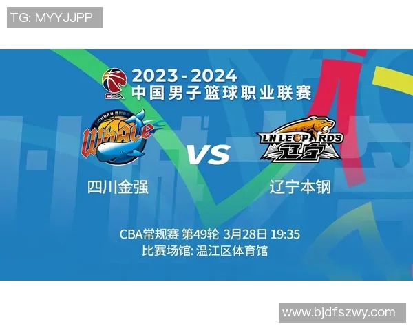 成都篮球队在世锦赛积分榜上以100分稳居第一名展现强大实力